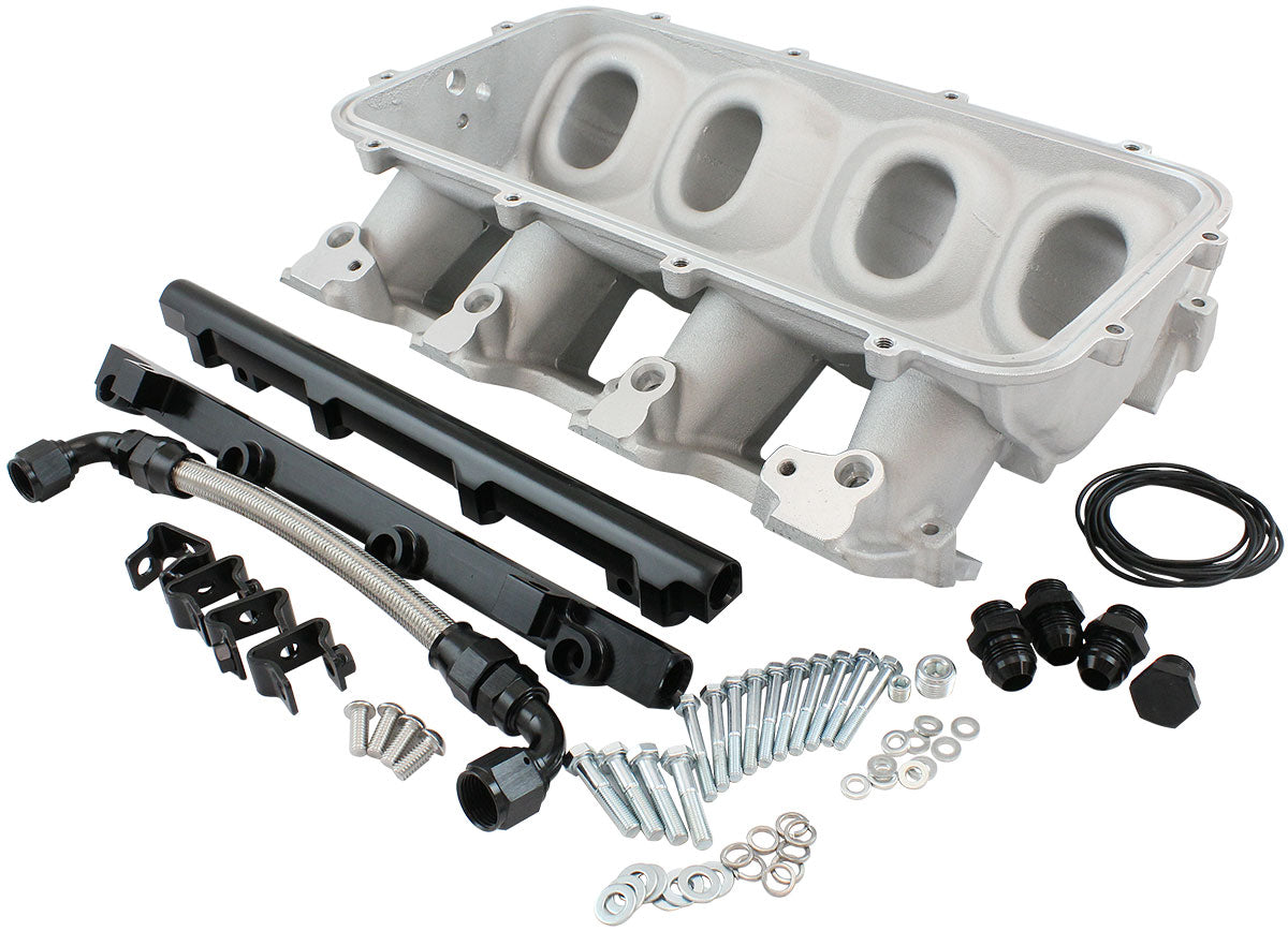 AF6079-5001 - LOW RISE EFI GM LS BASE INTAKEMODULAR MANIFOLD CATHEDRAL PORT NATURAL AF 6079-5001