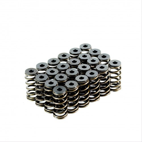 VTKBA6T-24 - Ford Barra XR6 Spring Kit
