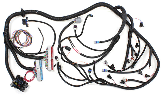 AF49-1505 - LS1 4L60 STANDALONE WIRING HARNESS LOOM 4L60E TRANS