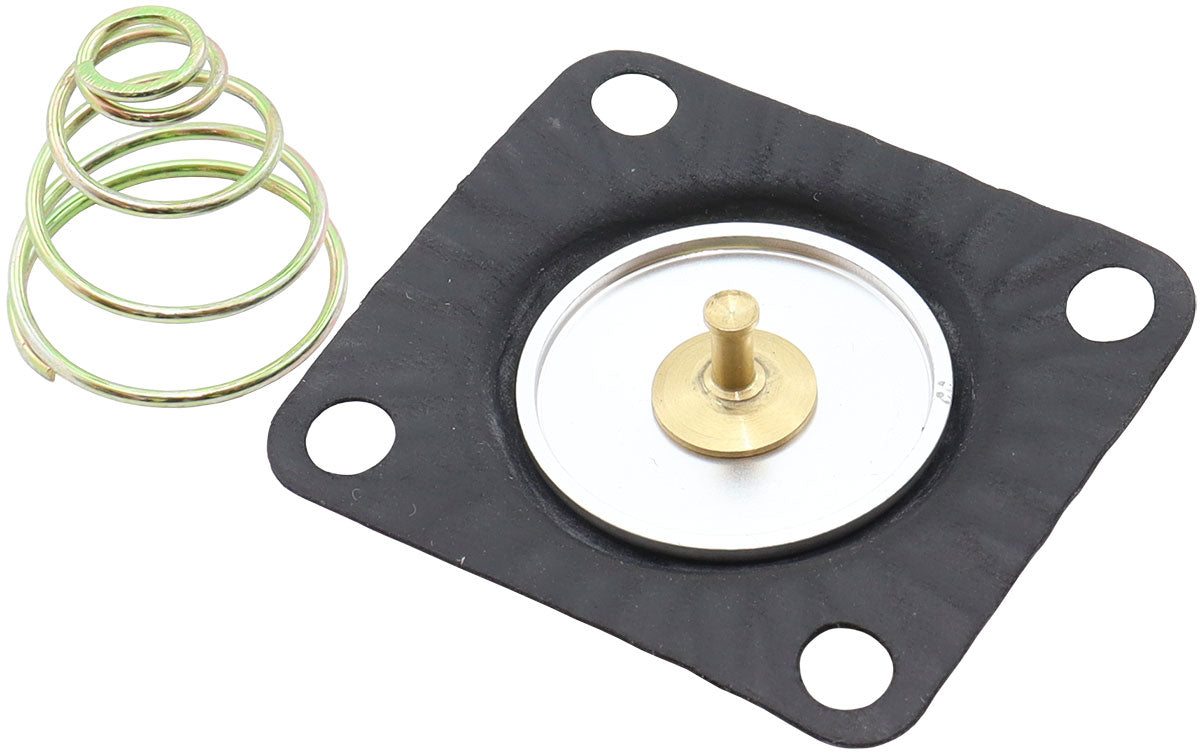 AF59-4000 - REPLACEMENT DIAPHRAGM WITH SPRING
