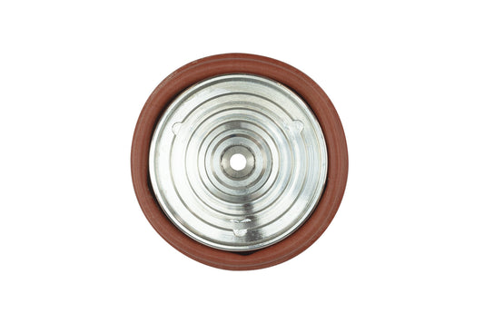 TS-0207-3005 - BOV PowerPort Diaphragm Replacement