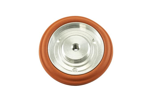 TS-0600-2003 - IWG75 TP Diaphragm Assembly Replacement