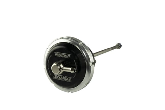 TS-0620-3142 - IWG75 BW B2 Single/Twin scroll 14 PSI