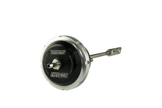 TS-0629-1102 - IWG75 Fiat 124 Spider/500T/L/X/Abarth 2012+ 10psi Outer Spring Fitted