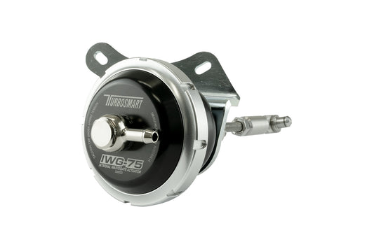 TS-0629-3051 - IWG75 Fiat 1.4L IHI 5psi