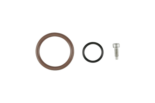 Oil Cap - LS O-Ring